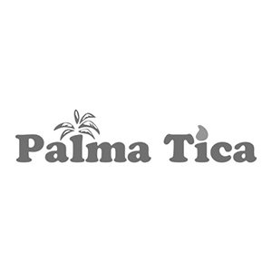 logo-palmatica