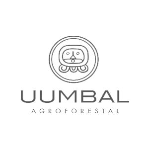 logo-uumbal