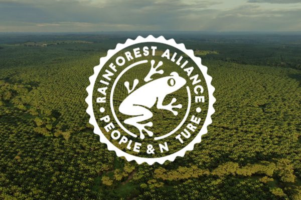 certificacion-ambiental-rainforest-alliance