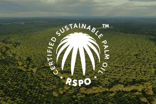certificacion-ambiental-rspo